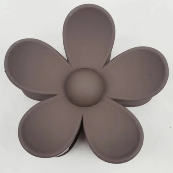 Claw Clip Hair Accessories - Picture 1 of 4